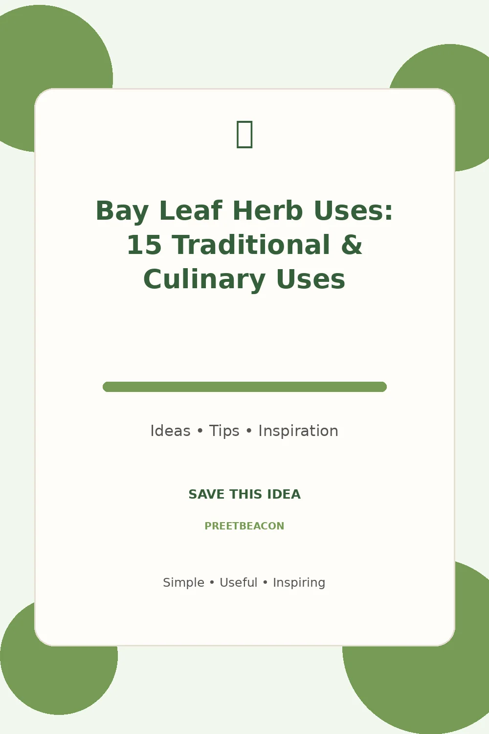Bay Leaf Herb Uses: 15 Traditional & Culinary Uses