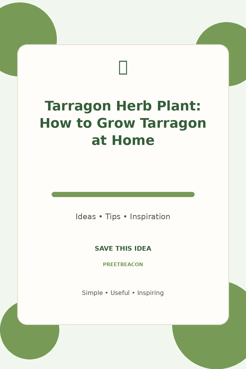 Tarragon Herb Plant: How to Grow Tarragon at Home